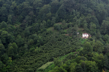 Fototapeta na wymiar Simsirli Village in Macka, Trabzon, Turkey.