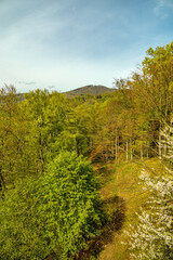 Eine kleine Wandertour von Bad Liebenstein bis zum Rennsteig, inkl. dem Frühlingserwachen im Altensteiner Park bei herrlichen Sonnenschein - Thüringen - Deutschland