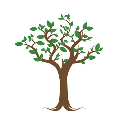 Obraz premium tree with green leaves