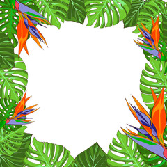Tropical flowers and leaves, floral template. Hand drawn illustration on white background. Exotic...