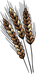 Wheat spikelets vintage line art sketch