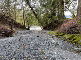 Dry creek bed stone pathway to main river surrounded by woods - 785646940