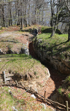 Narrow communication  trench dug in the ground for the protection of soldiers of the army