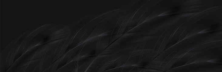 Background of flying realistic vector  goose or swan black feathers.Ecological feather filler for pillows, blankets or jackets.Vector concept design. - obrazy, fototapety, plakaty
