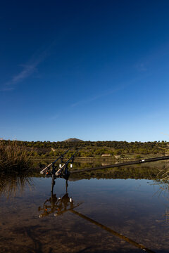 rodpod carpfishing