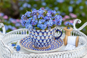 Vergissmeinnicht-Blumenstrauß in einer vintage Kaffeetasse als florale Frühlingsdekoration	