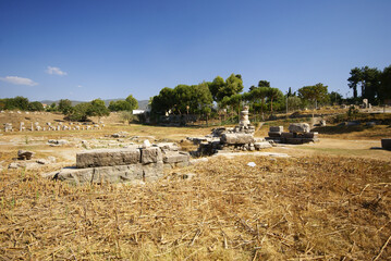 Temple of Artemis is in Izmir, Turkey.