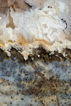 Intricate patterns in a slice of Moss Agate from Oregon