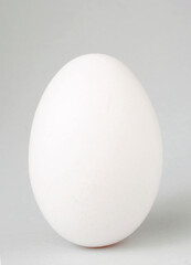 white egg on gray background