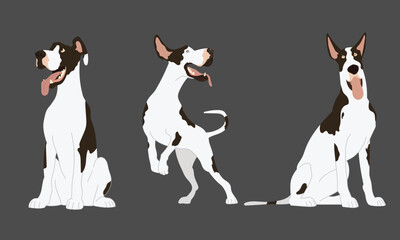 Set of great dane  Dog Vector Illustration