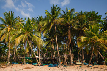  Fisherman's Retreat: Sheds, Boats, and Palms on a Sunlit Beach