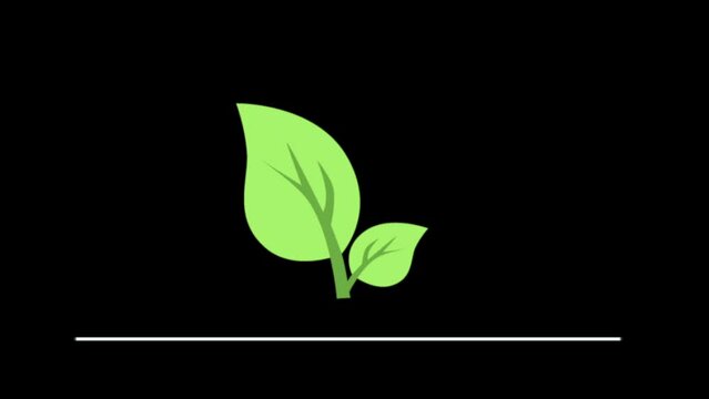 animation design of leaf