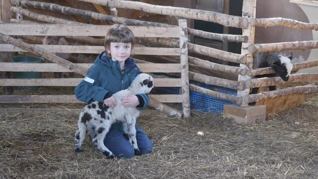 Little boy holding a cute lamb in his arms at the farm