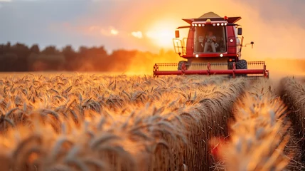 Fototapeten Harvester in wheat field at sunset, against picturesque rural landscape © Валерія Ігнатенко