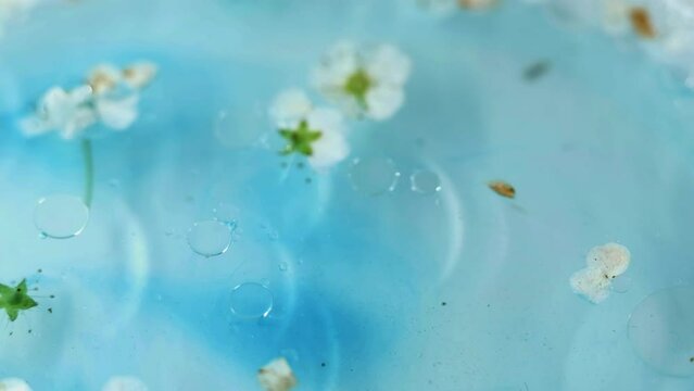 Organic aroma. Flower bath. Defocused blue color liquid cherry blossom whirling air round oil texture gel bubble abstract background.