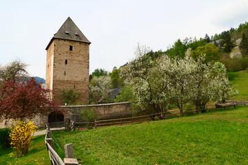 Wehranlage, Zehenturm, Baierdorf Schöder, in Mitten von Streuobstwiesen, Steiermark