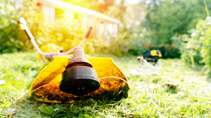 Gardener with trimmer mows lawn in garden - obrazy, fototapety, plakaty