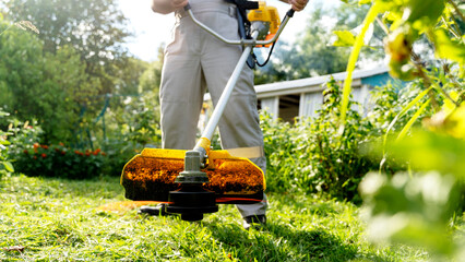 Gardener with trimmer mows lawn in garden