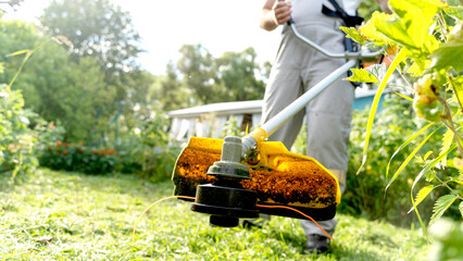 Gardener with trimmer mows lawn in garden