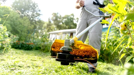  Gardener with trimmer mows lawn in garden © I