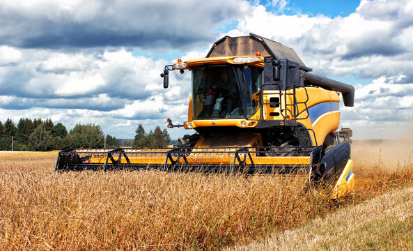 Combine harvester harvests ripe wheat. Yellow combine harvests yellow grain. Agriculture image