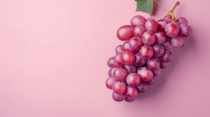 Grape fruits top view on the pastel background