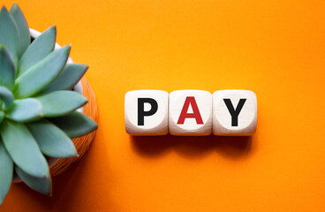 Pay symbol. Wooden cubes with words Pay. Beautiful orange background with succulent plant. Business...