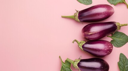 Eggplant vegetables healthy food top view on the pastel background