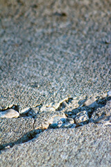 Grungy Cracked Pavement or Cement Border or Background