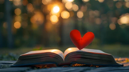 Poster A red paper heart placed on an open book, symbolizing love and passion. Suitable for Valentine's Day greetings or educational concepts. © NE97