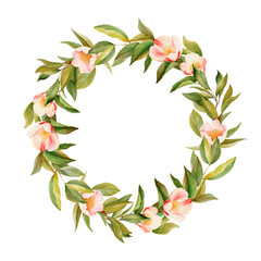 Watercolor wreath with peaches tree blooming branches, isolated illustration for wedding and holiday cards