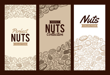 Mixed nuts banner templates, backgrounds with nuts, hand-drawn food illustrations and icons
