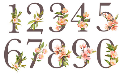 Set of floral numbers with watercolor peach tree flowers, isolated illustration on white background, for wedding monogram, greeting cards, logo