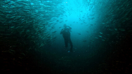 Scuba Diver in school of fisch