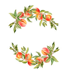 Watercolor wreath with peaches tree branches and fruits, isolated illustration for wedding and holiday cards, kitchen design, posters