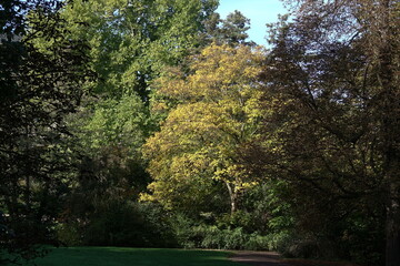 Naklejka premium Park an der Ilm in Weimar