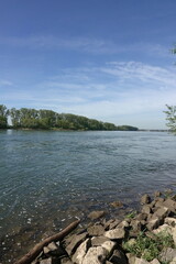 Rhein bei Biebesheim