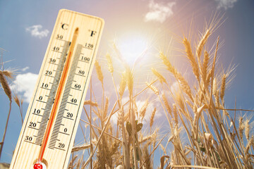 A thermometer on a sunny day with a sunny landscape in the background.