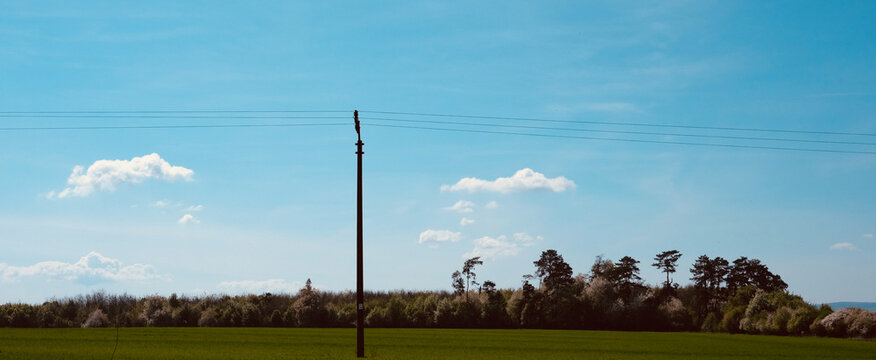 Power grid