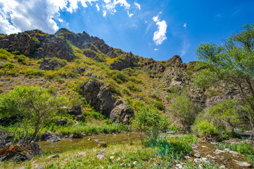 Fototapeta na wymiar Experience the serene flow of the river through the majestic canyon. Be captivated by the stunning natural beauty of the mountainous landscape. Immerse yourself in a calm atmosphere