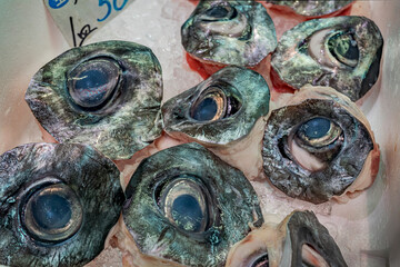 Tuna eyes on Tsukiji fish market in Tokyo, Japan
Raw cut fish eyes over ice.
