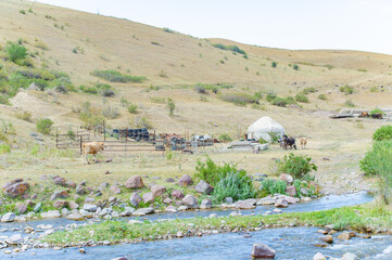 traditional Kazakh nomadic lifestyle in a shepherd's yurt. breathtaking mountain views while...
