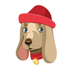 cartoon vector fashionable cocker spaniel, portrait of a dog on a white background