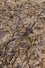 cracks and fractures on the frozen soil of the field in winter