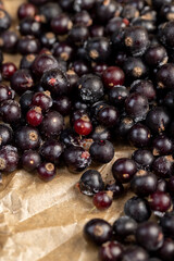 fresh frozen currants for long-term storage