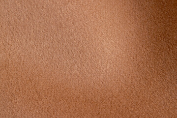 orange fleecy fabric is part of a garment, part