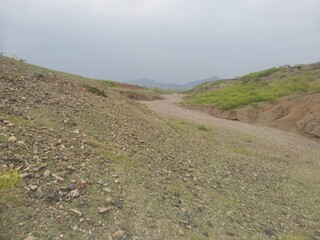 path in the field