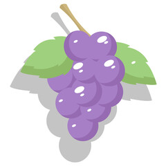 a grape with a flat illustration design has a shadow behind the fruit