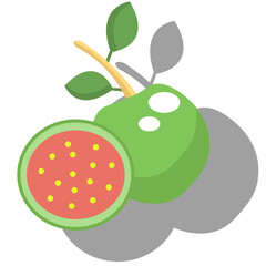 guava with a flat illustration design, there are two guavas that are still intact and open to see the flesh and guava seeds