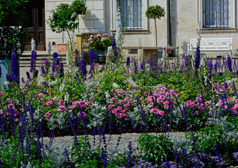 różowe, białe i fioletowe kwiaty w wiejskim ogrodzie, kwietnik w ogrodzie pałacowym, Dahlia,...